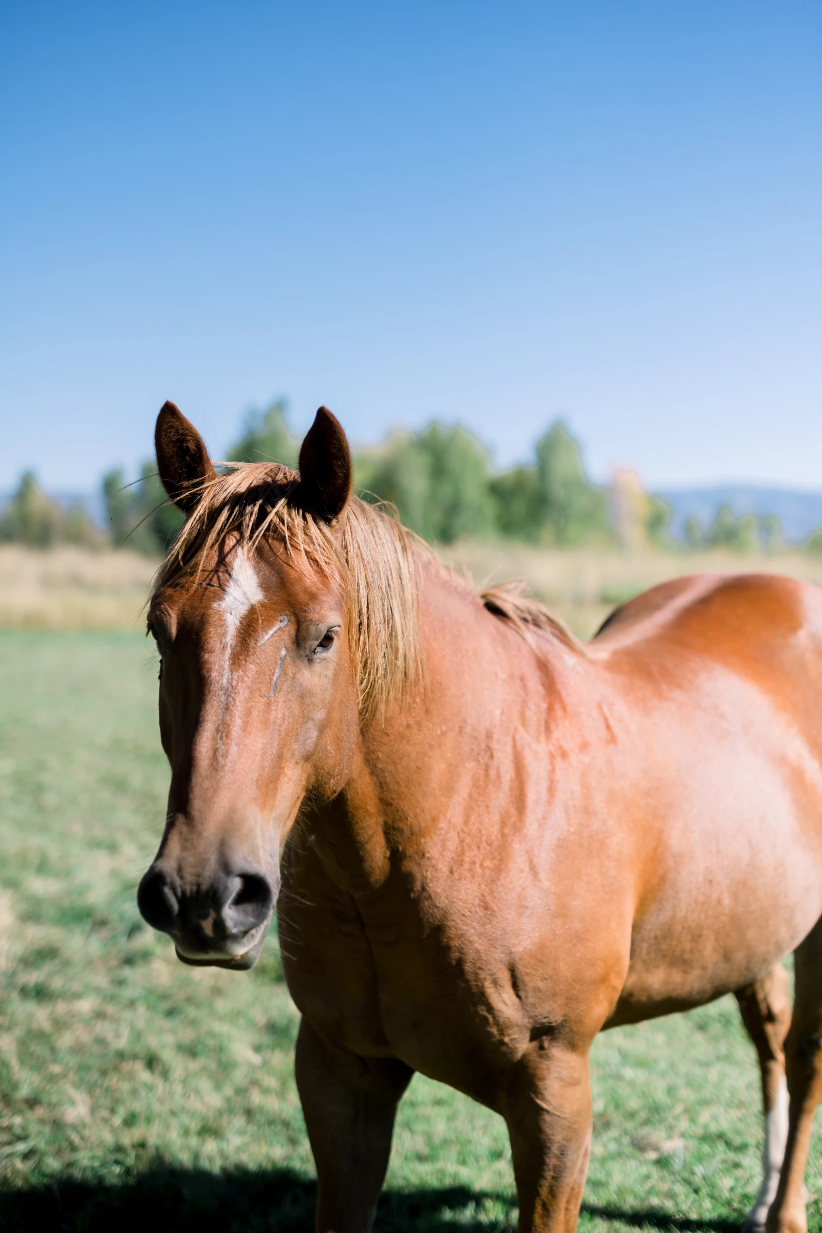 Riverbottom Ranch UVBM Editorial 27