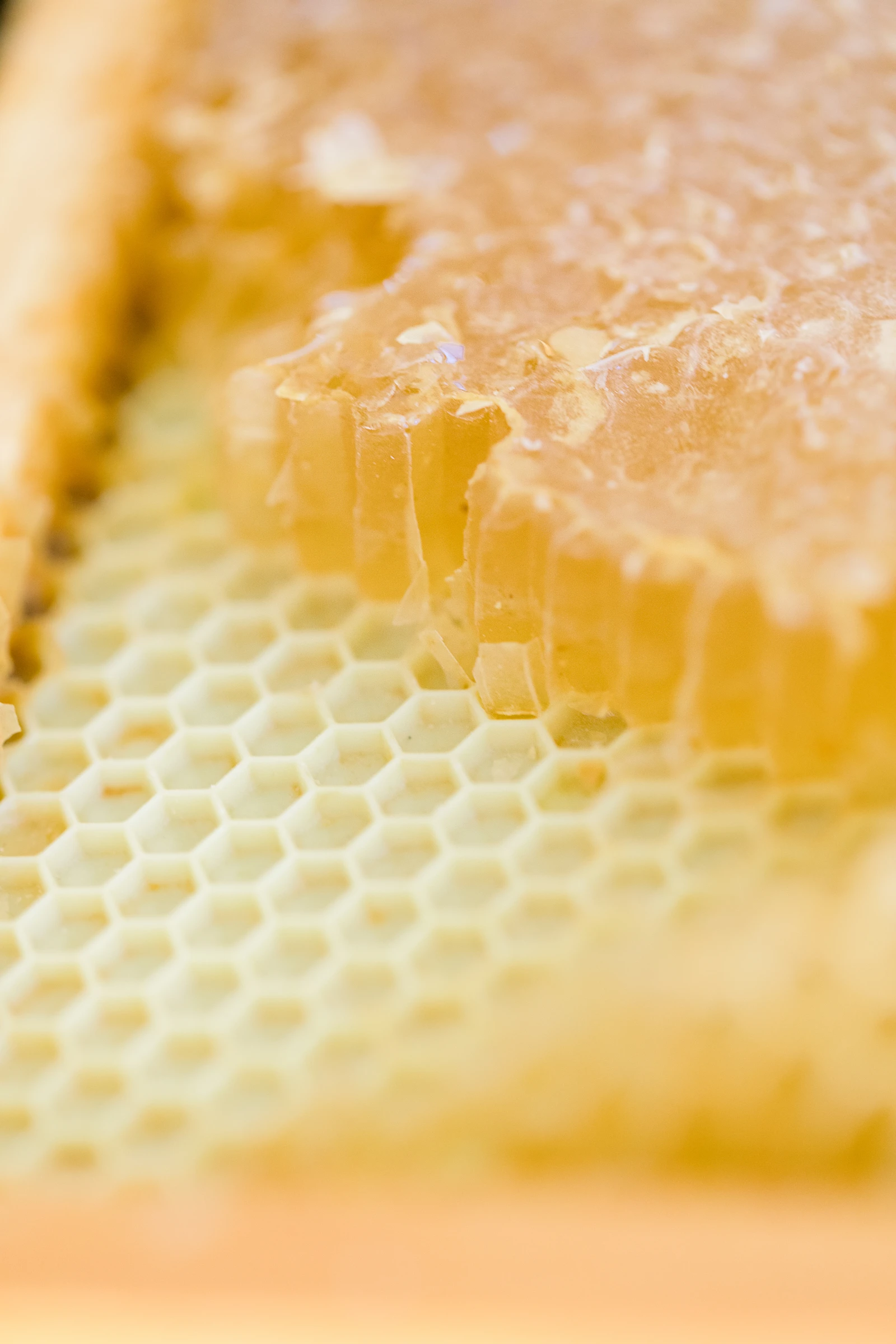 Riverbottom Ranch UVBM Editorial 32