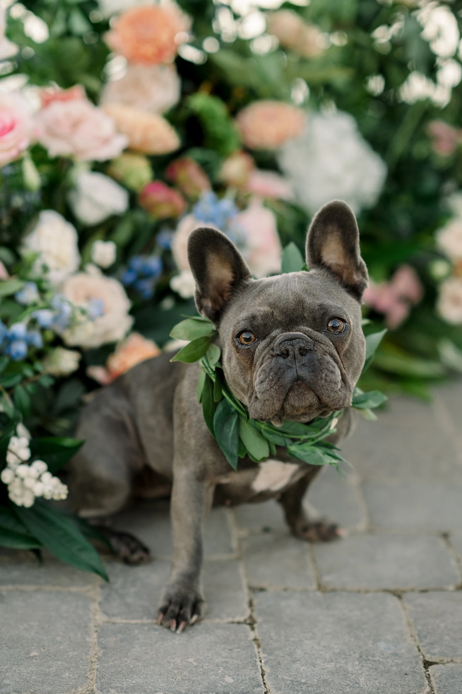 Riverbottom Ranch UVBM Editorial 68