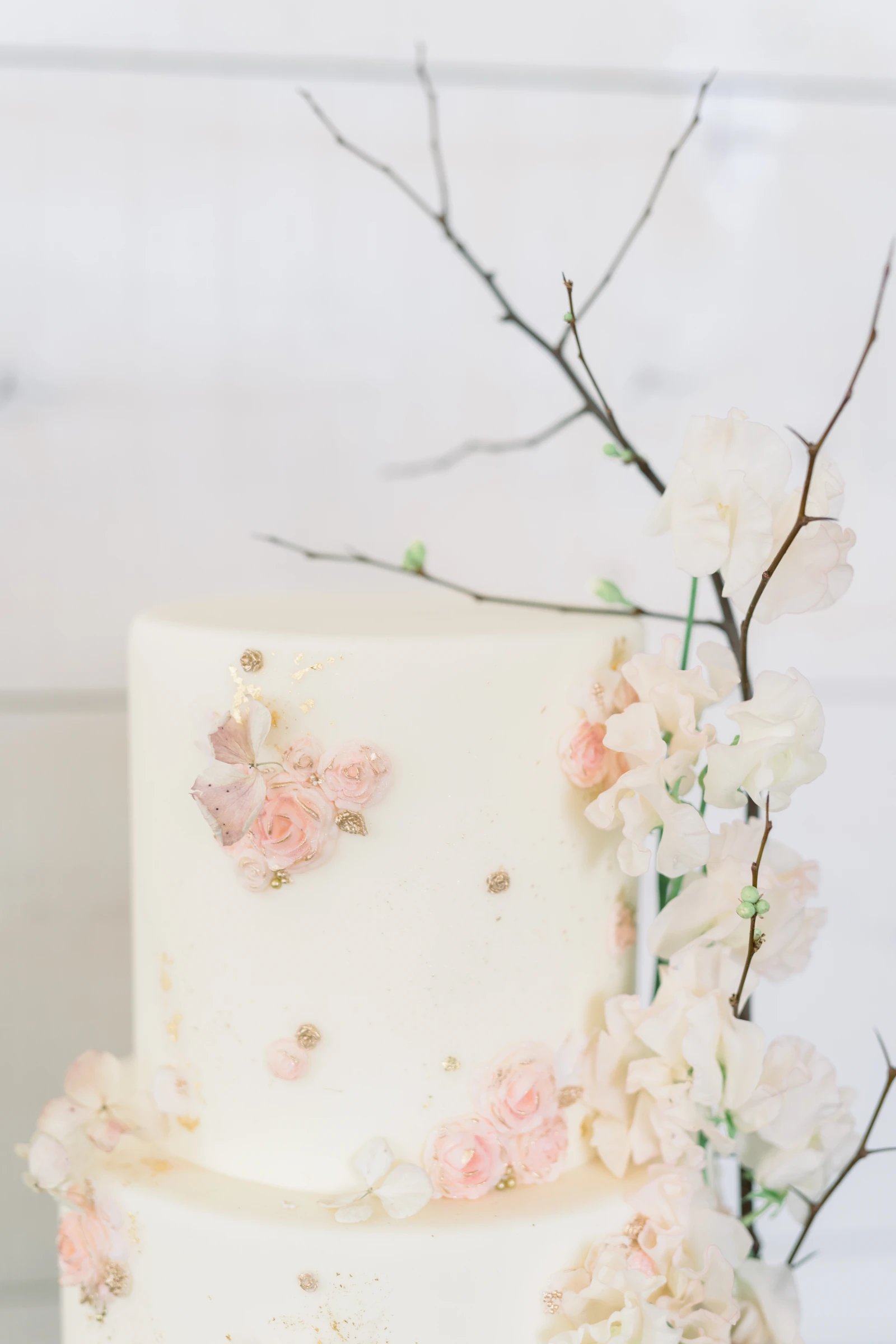 Walker Farms Editorial 3