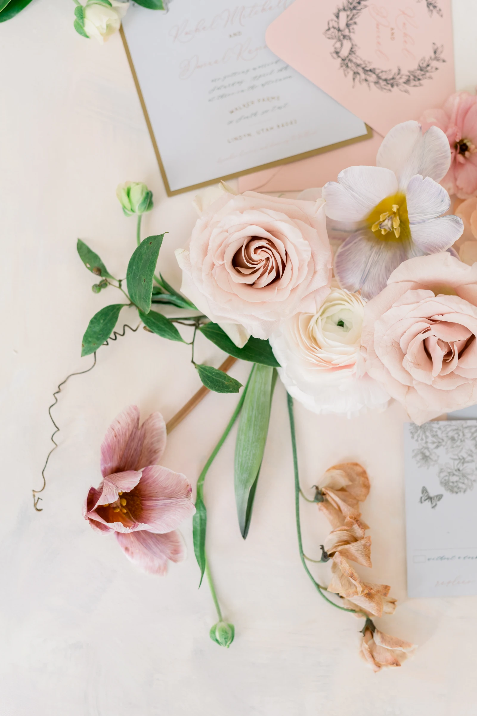 Walker Farms Editorial 56