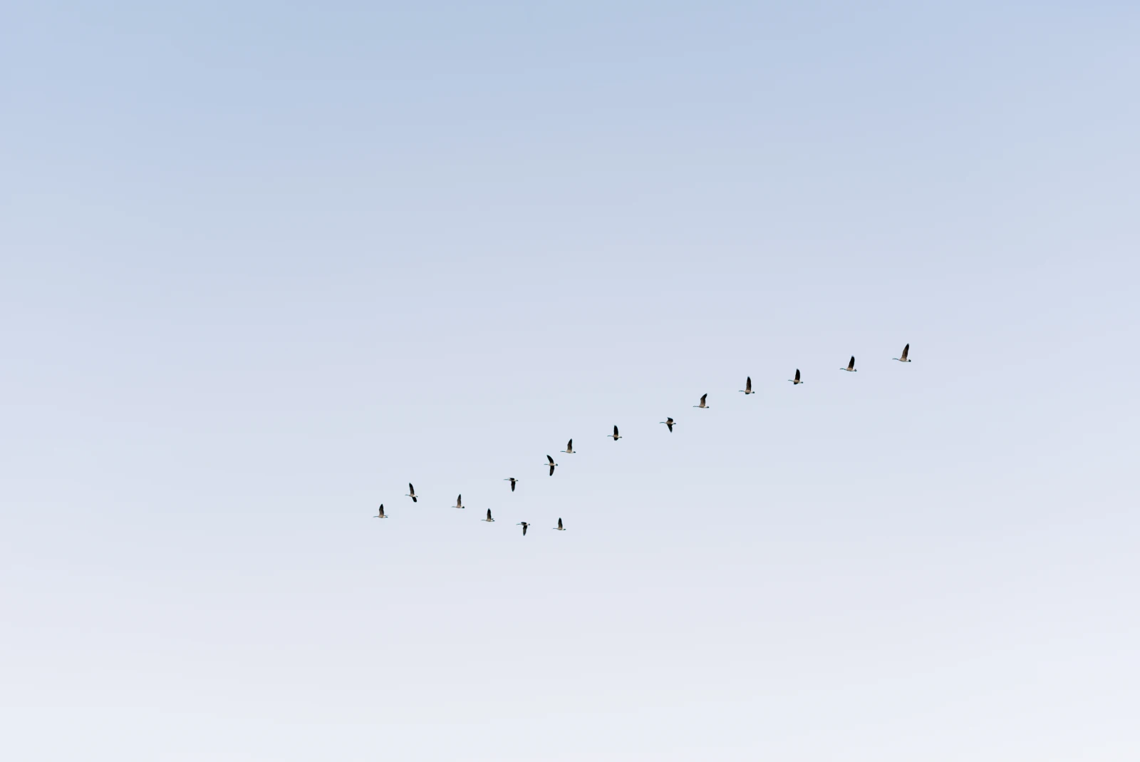 Kristina Curtis hero